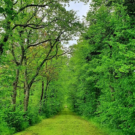 Superb With Garden In