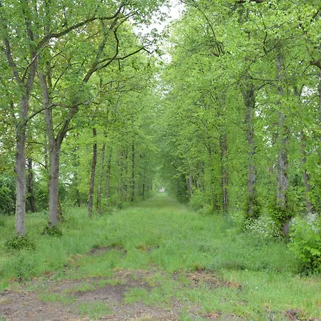 펜션 Superb With Garden In