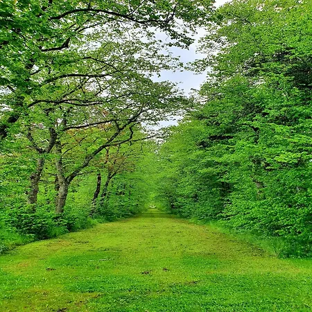 펜션 Superb With Garden In *